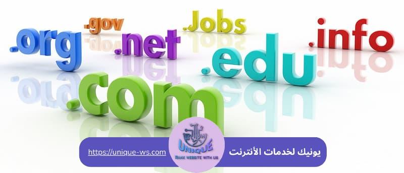 ما هو الدومين