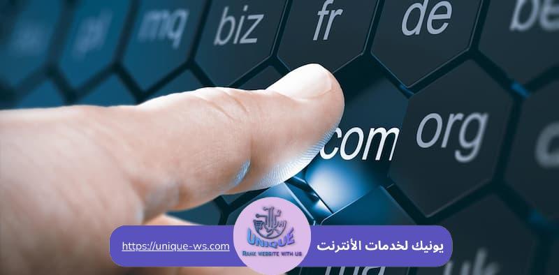 ما هو الدومين