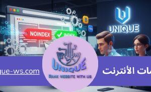 فحص Noindex واصلاحها