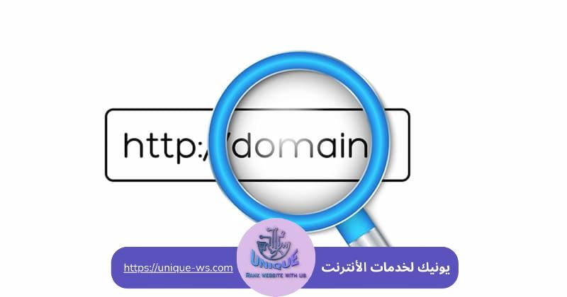 ما هو الدومين