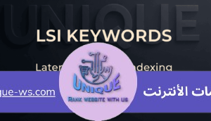 طريقة استخدام كلمات LSI ووضعها في الموقع لتصدر محركات البحث