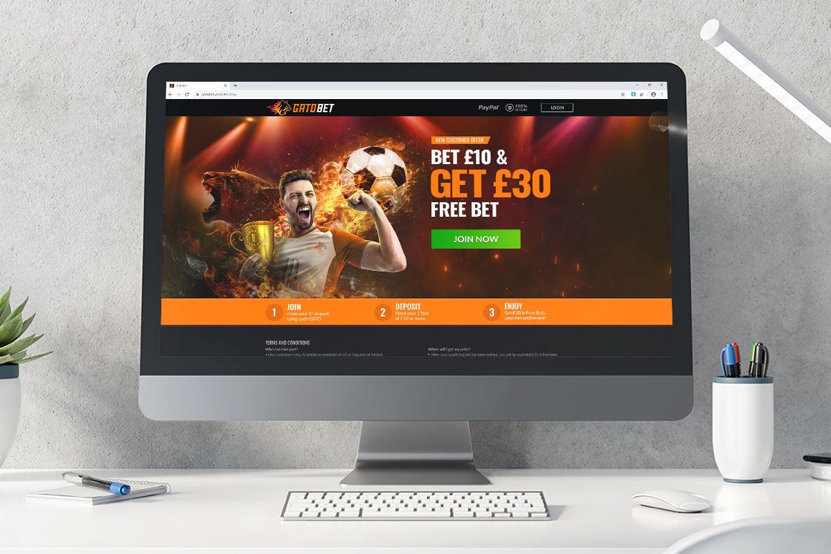 تصميم موقع رياضي